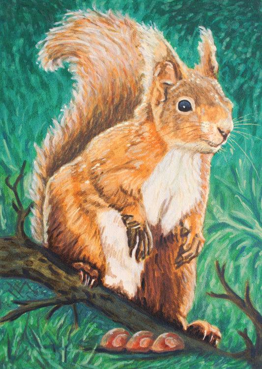 "Red Squirrel"